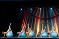 Wintercircus 2D 09